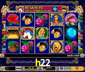 Descubra a Essência do h22: Nossa História e Compromissos